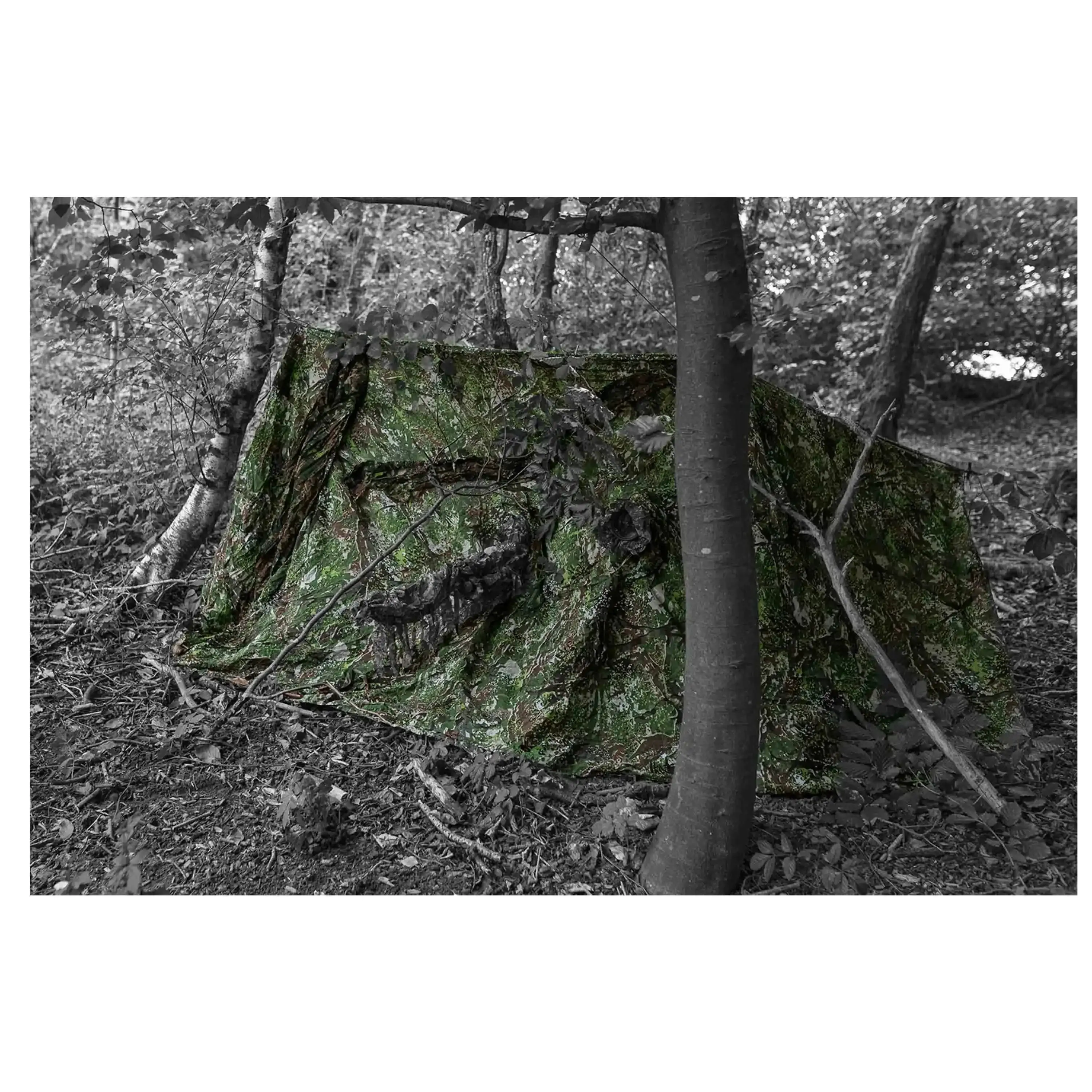 Miniature 1